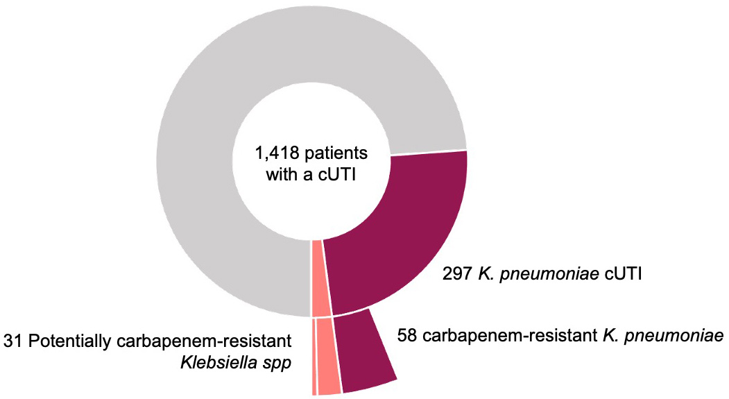 Klebsiella