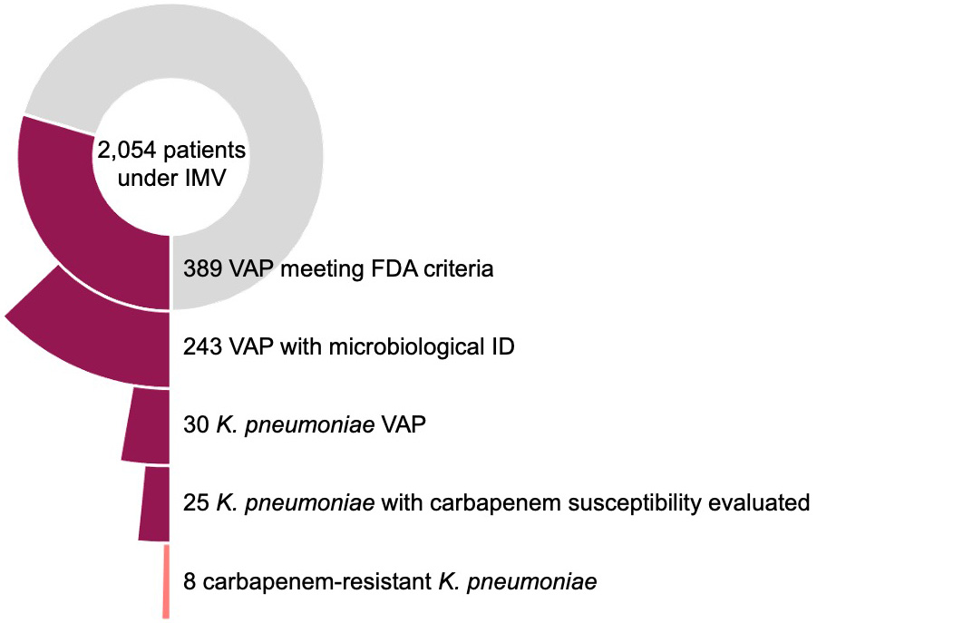 Klebsiella